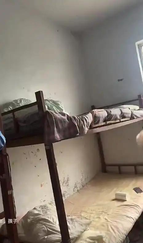 黎姿大变样!剪短卷发穿条纹西装,褪去港星滤镜,活成豪门女总裁