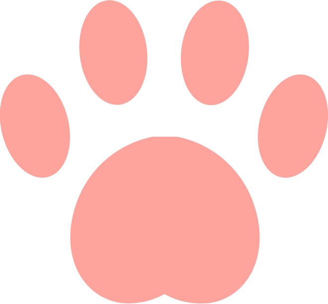 世界杯早参丨挪威1比2英格兰,哈兰德被冻结贝林厄姆双响;因凡蒂诺:扩军至64队仍在讨论